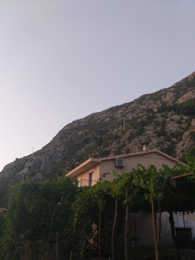 Sottomonte Appartement Kotor Buitenkant foto